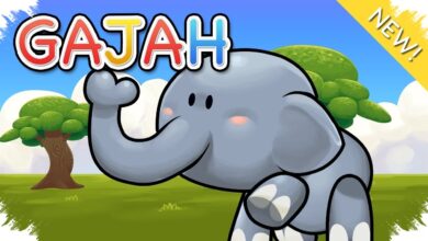 Saat Saluran Telinga Ditutup, Gajah Bisa Menangkap Getaran Bumi hingga 30 Kali Lebih Kuat