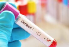 Dengue Menggerus Hampir Rp9 Triliun, Biaya Keluarga Tetap Menumpuk di Luar RS