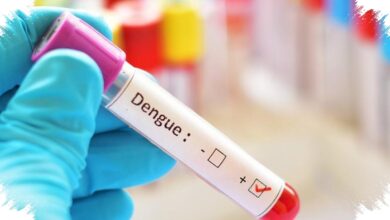 Dengue Menggerus Hampir Rp9 Triliun, Biaya Keluarga Tetap Menumpuk di Luar RS