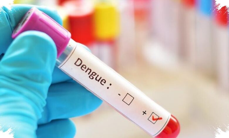 Dengue Menggerus Hampir Rp9 Triliun, Biaya Keluarga Tetap Menumpuk di Luar RS
