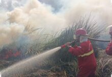 1.770 Hotspot Muncul di Kalsel, 180 Personel Manggala Agni Siaga di Tengah Kemarau