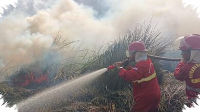 1.770 Hotspot Muncul di Kalsel, 180 Personel Manggala Agni Siaga di Tengah Kemarau