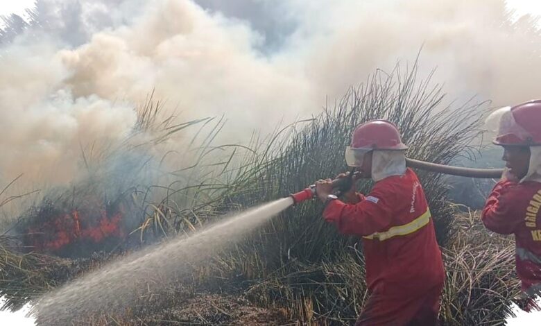 1.770 Hotspot Muncul di Kalsel, 180 Personel Manggala Agni Siaga di Tengah Kemarau