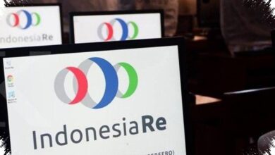 Laba Indonesia Re Melonjak 544%, Penopang Utamanya Justru Hasil Asuransi dan Investasi