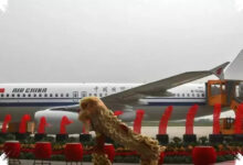 95 Airbus Diborong Maskapai China, Armada Baru Siap Mengubah Peta Kapasitas