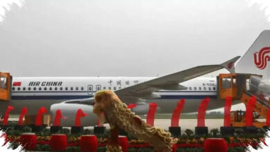 95 Airbus Diborong Maskapai China, Armada Baru Siap Mengubah Peta Kapasitas