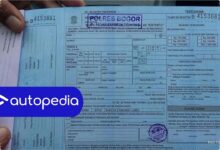 Surat Tilang Hilang Bukan Akhir Urusan, Dokumen Pengganti Ini Dibutuhkan