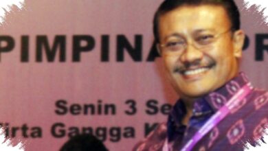Demer Tegaskan Batu Bara Urusan B2B, Menteri ESDM Tak Tepat Ditarik
