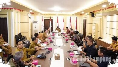 Taksi Listrik Menjanjikan Biaya Lebih Rendah, SPKLU Masih Menahan Ekspansi