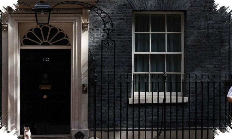 Larry Ingatkan Andy Burnham, Kotak Pasir dan Makan di Downing Street