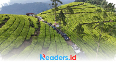 Tantangan Land Cruiser di Jalur Brebes-Kaligua, Overland 3 Hari Menanti