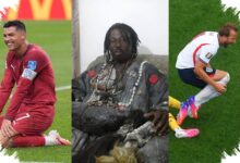 5 Peramal Piala Dunia, Ketepatan Paul Si Gurita Berbeda dengan Klaim Dukun Ghana