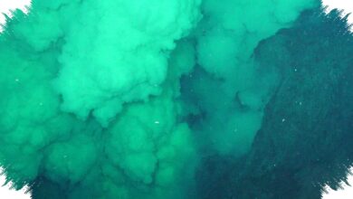 Lava Mayotte Mengungkap Sisa Bumi Purba yang Bertahan Dekat Era Pembentukan Bulan