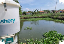 Hampir RM200 Juta Dana Pensiun Malaysia Masuk eFishery, Berujung Dugaan Penipuan