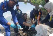 52 Kg Popok Terdampar di Pantai Sidem, Jejak Sampah Hulu Sampai ke Pesisir