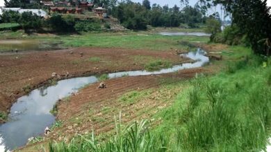 El Nino Sangat Kuat Diproyeksikan, Usul Cerahkan Awan Memicu Kekhawatiran