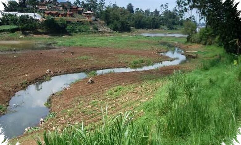 El Nino Sangat Kuat Diproyeksikan, Usul Cerahkan Awan Memicu Kekhawatiran