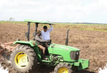 Mentan Tegaskan Sawah di Papua Milik Rakyat, Isu Harga Tanah Rp 100.000 Dibantah