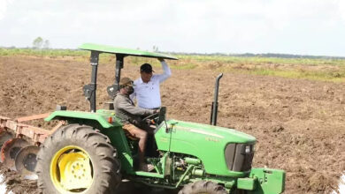 Mentan Tegaskan Sawah di Papua Milik Rakyat, Isu Harga Tanah Rp 100.000 Dibantah