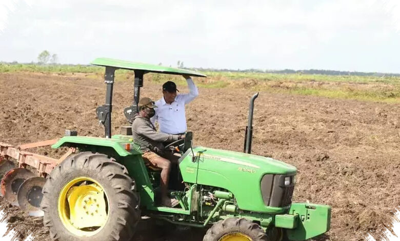 Mentan Tegaskan Sawah di Papua Milik Rakyat, Isu Harga Tanah Rp 100.000 Dibantah