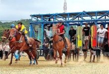 Menuju PON 2028, Keselamatan Joki Pacu Kuda Sumba Mulai Jadi Perhatian