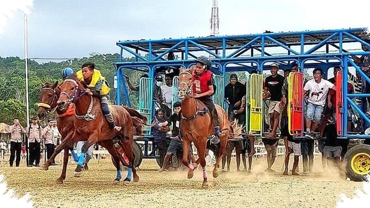 Menuju PON 2028, Keselamatan Joki Pacu Kuda Sumba Mulai Jadi Perhatian