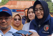 Sekolah dengan Murid di Bawah 100 Dipetakan, Pemerintah Siapkan 4 Langkah Penjagaan Mutu