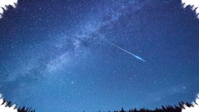 Meteorit yang Menembus Kamar Tidur Ini Simpan Jejak Kimia Sebelum Kehidupan