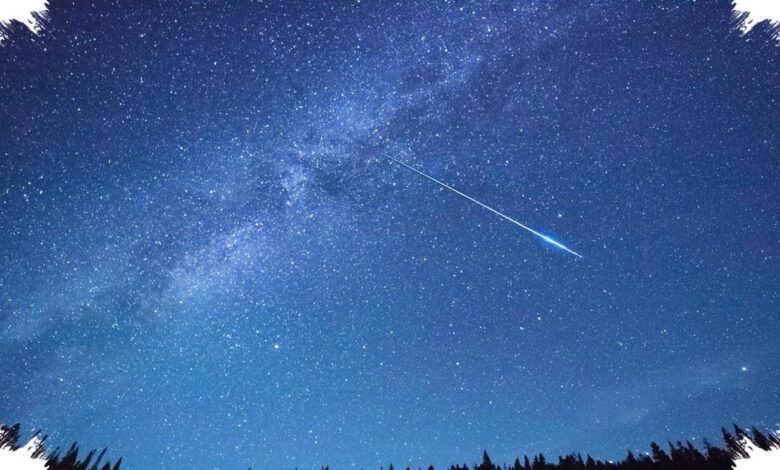 Meteorit yang Menembus Kamar Tidur Ini Simpan Jejak Kimia Sebelum Kehidupan