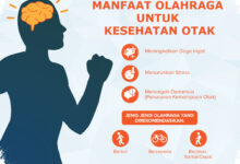Bukan Hanya Bugar, Gerakan Saat Olahraga Diduga Membantu Otak Buang Limbah