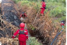 Api Padam, Asap di Pematang Pudu Masih Ancam Lahan 81 Hektare