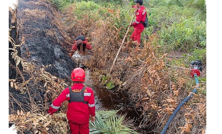 Api Padam, Asap di Pematang Pudu Masih Ancam Lahan 81 Hektare