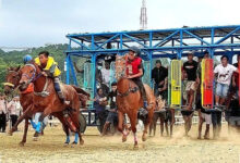 604 Kuda Memadati Pacuan Sumba Barat, Keselamatan Joki Cilik Jadi Prioritas PON 2028