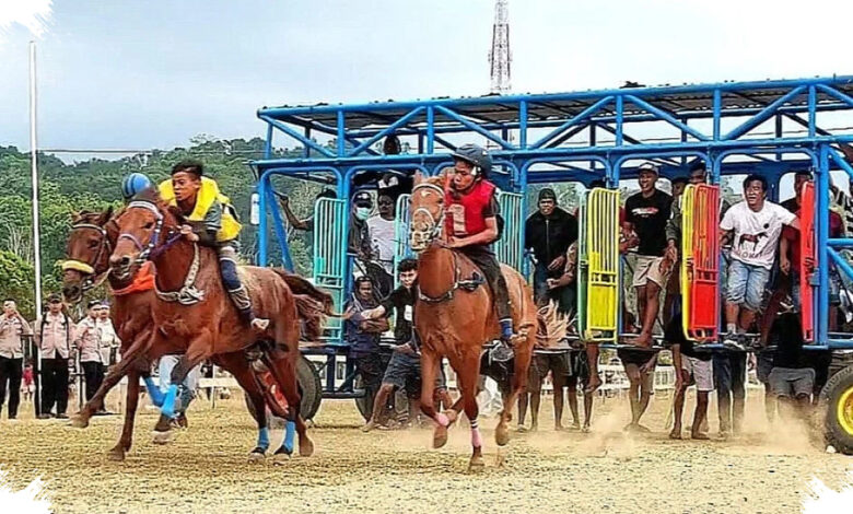 604 Kuda Memadati Pacuan Sumba Barat, Keselamatan Joki Cilik Jadi Prioritas PON 2028
