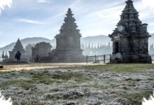 Angka -6 C di Dieng Bukan Suhu Udara, Ini Risiko Embun Upas bagi Petani