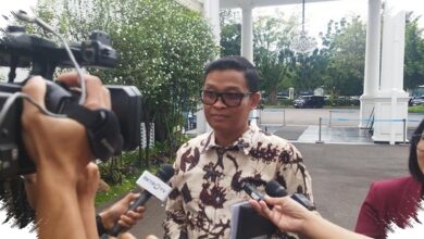 Pajak 0% Selama 50 Tahun Disiapkan di Bali, PFII Incar Dana yang Parkir di Luar Negeri