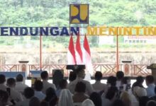 Irigasi 280 Km dari 5 Bendungan Baru Membuka Ruang Tanam di 39.540 Hektare Sawah