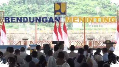 Irigasi 280 Km dari 5 Bendungan Baru Membuka Ruang Tanam di 39.540 Hektare Sawah