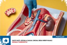 Mual yang Tak Kunjung Reda Bisa Menandakan Ginjal Sudah Mengalami Gangguan Berat