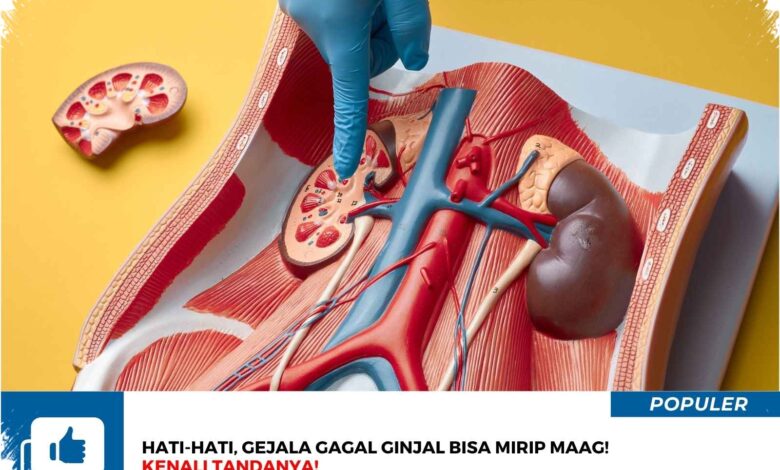 Mual yang Tak Kunjung Reda Bisa Menandakan Ginjal Sudah Mengalami Gangguan Berat