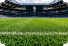 Rumput Final Piala Dunia Dijual 450 Dolar AS, Ada Paket Seharga 3.000 Dolar