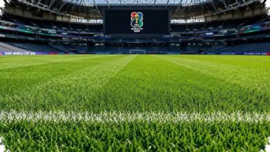 Rumput Final Piala Dunia Dijual 450 Dolar AS, Ada Paket Seharga 3.000 Dolar