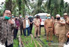 Pulau Pohon di Sawit Antar Dosen Unja Menjadi Juara Nasional di Jerman