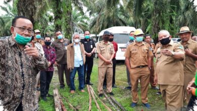 Pulau Pohon di Sawit Antar Dosen Unja Menjadi Juara Nasional di Jerman