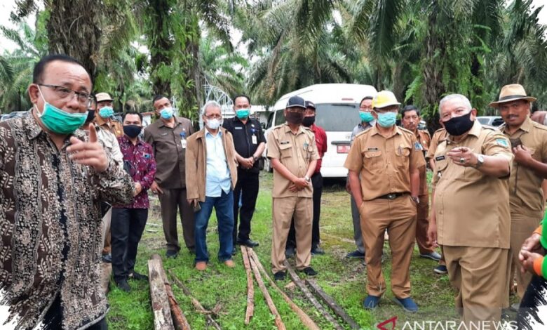 Pulau Pohon di Sawit Antar Dosen Unja Menjadi Juara Nasional di Jerman