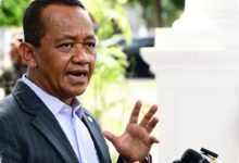 E10 Dimulai 2027, Pemerintah Menahan E20 demi Cegah Impor Etanol Baru