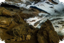 Tulang “Raksasa” Lovelock Diuji, Jejak Si-Te-Cah Setinggi 3 Meter Tak Terbukti