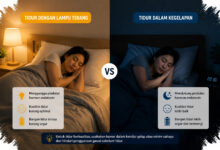 Cahaya Terang pada Siang Hari Dikaitkan dengan Tidur Lebih Awal dan Dalam