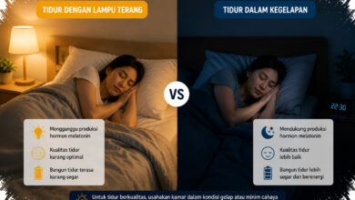 Cahaya Terang pada Siang Hari Dikaitkan dengan Tidur Lebih Awal dan Dalam