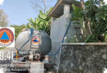 Kebun 2.000 Meter Persegi Mengubah Masa Pensiun Eks Engineer Pesawat di Purbalingga